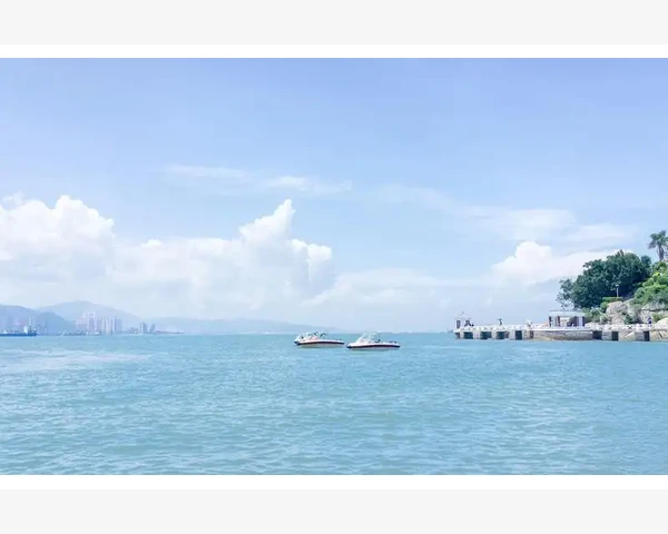 B2B网上贸易平台选型与运营实战要点_从传统采购到数字化采购的蜕变