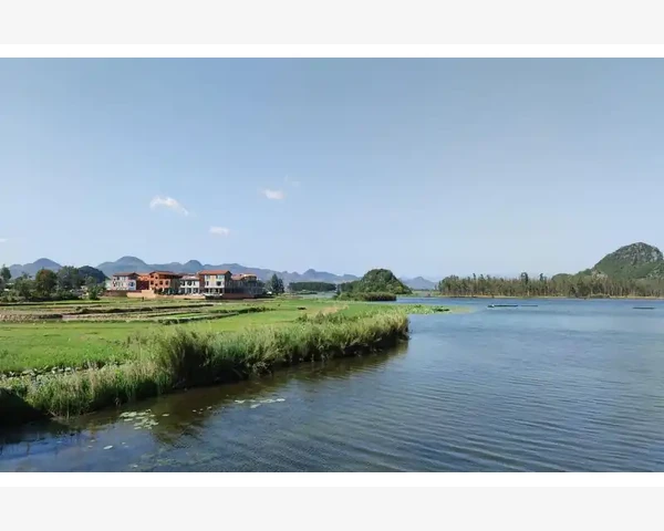 MT4模拟盘开仓数量限制真相与应对方法