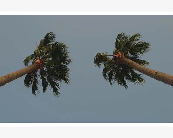 B2B应用软件榜单企业采购必备工具_堆垛机与货架系统的协同工作