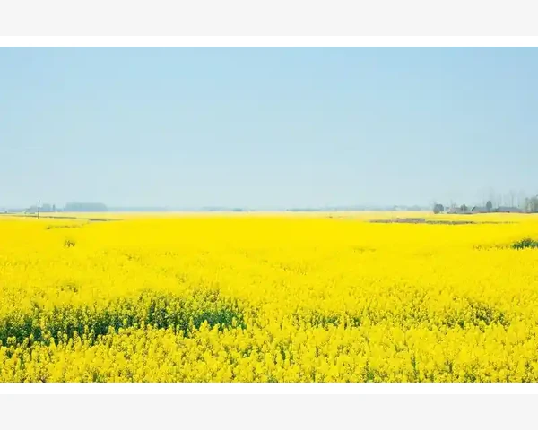 企业数字化管理的隐形助手_B2B老外客户开发实战技巧全拆解