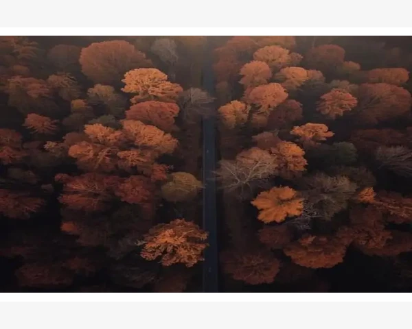 母婴原料商巧用B2B对接加工厂_母婴原料商巧用B2B对接加工厂