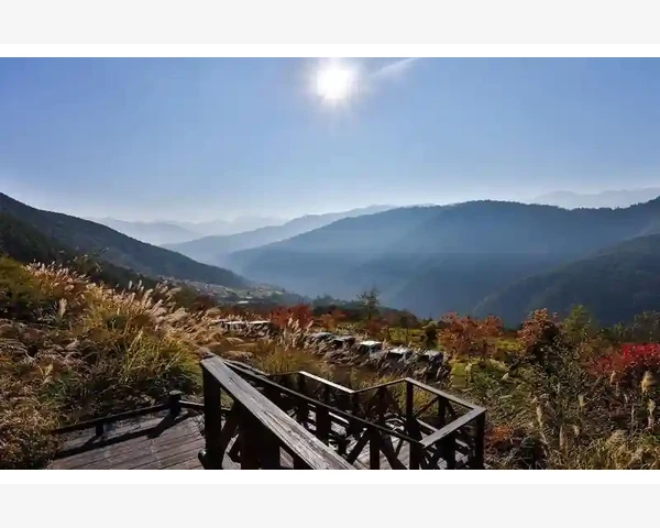 人工智能辅助MT4交易实战接入方法详解_缩放与时间周期切换的联动关系