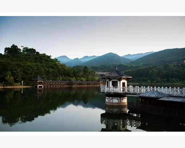 MT4图表标记管理从入门到精通的操作细节_检查交易日志和订单历史，复盘昨天的问题