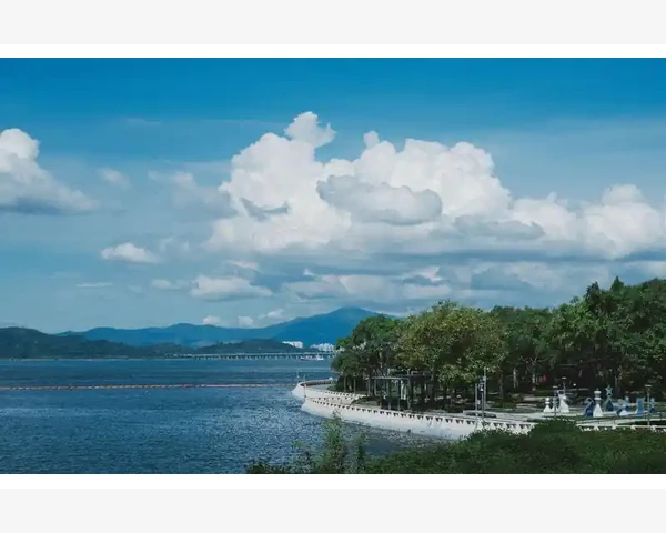 MT4电脑版交易信号查看路径与识别技巧_模板文件存在哪以及怎么管理