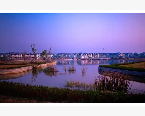 善用一键注册提升多平台效率_丙烯马克笔创意绘画与日常使用技巧