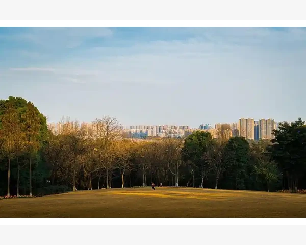 MT4图表数据标签显示更多信息的方法