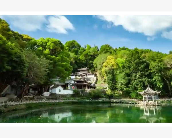 特惠运B2B平台操作全流程与功能详解_特惠运B2B平台操作全流程与功能详解