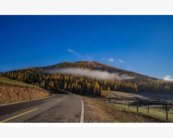 工业编码开关手感与寿命定制实战技巧_工业编码开关手感与寿命定制实战技巧