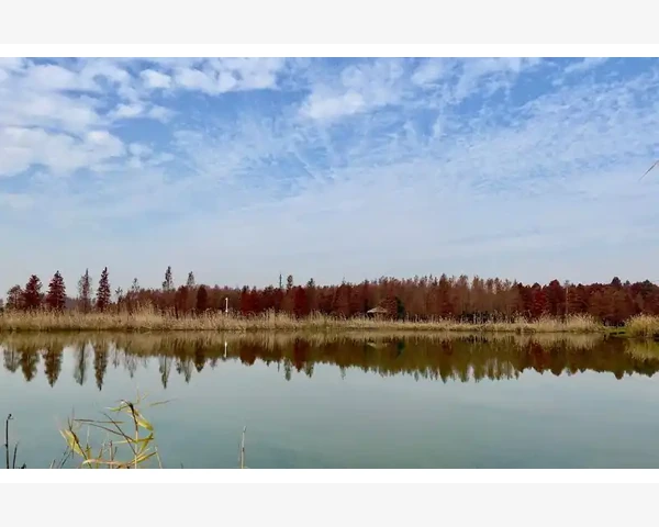 高权重B2B网站排名Top100实战观察_高权重B2B网站排名Top100实战观察